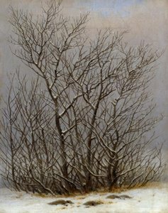 Struikgewas in de sneeuw door Caspar David Friedrich