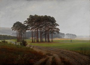 Momenten van de dag: De middag