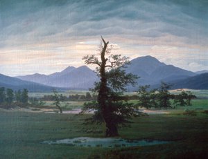 De Eenzame Boom, 1823