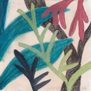 Kleurrijk abstract bladwerk door Catalina Somolinos