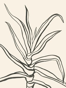 Minimalistisch plantenontwerp