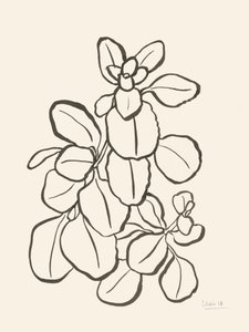 Biologische bladtekening