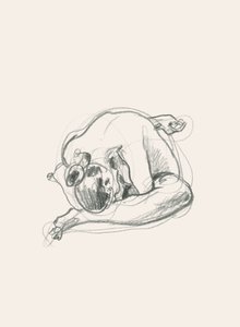 Rustige, opgerolde figuur door Catalina Somolinos