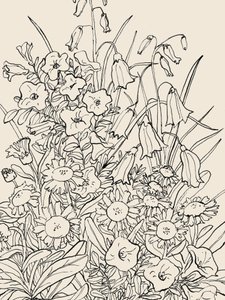 Wilde tuinbloemen door Catalina Somolinos