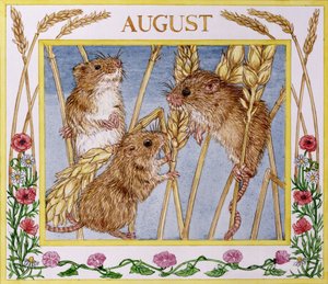 Augustus door Catherine Bradbury