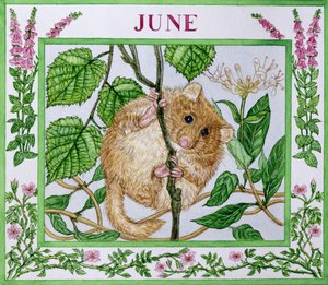 Juni door Catherine Bradbury
