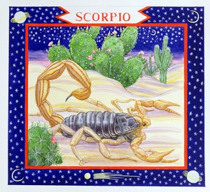 Schorpioen door Catherine Bradbury