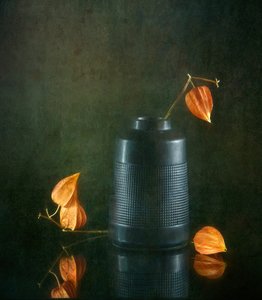 Herfstlantaarns en vaas door Catherine Wang