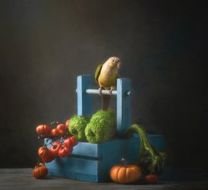 Herfststilleven met papegaai door Catherine Wang