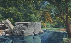 Grote rots, Cherokee Park, 1942