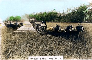 Grenfell tarweboerderij, Australië, ca. 1920s