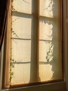 Compositie - Schaduwen, 2021 (foto)