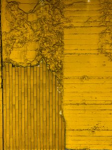 Compositie - Textuur, 2024 (foto)