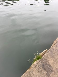 Samenstelling, 2019 (foto) door Cécile Jamet