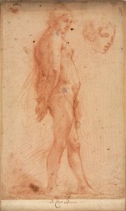 Studie van een Staande Mannelijke Naakt, met een Studie van Hoofd in Driekwart Profiel, ca. 1640 door Cecco Bravo