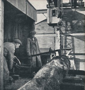 Zagen van hout door Cecil Beaton