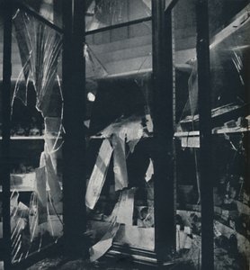 Vitrines in het Natuurhistorisch Museum door Cecil Beaton