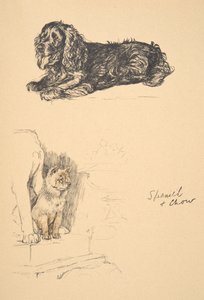 Spaniel en Chow, 1930, Illustraties uit zijn Schetsboek gebruikt voor Just Among Friends, Aldin, Cecil Charles Windsor (1870-1935), later uitgegeven door Eyre and Spottiswoode Limited, 1934 door Cecil Charles Windsor Aldin