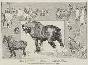 De Shire Horse Show in de Royal Agricultural Hall