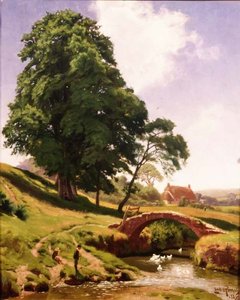 Eenden onder de brug