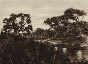 Mexico: Zacatecas, Nabij de ruïnes van La Quemada
