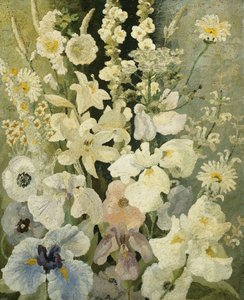 Witte Bloemen