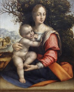 Madonna en Kind (Onze Lieve Vrouw van de Boom) door Cesare da Sesto