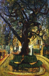 De Boom in Vence