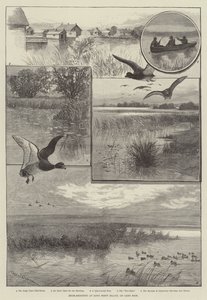 Eendenschieten op Long Point Island, aan Lake Erie (gravure) door Charles (after) Whymper