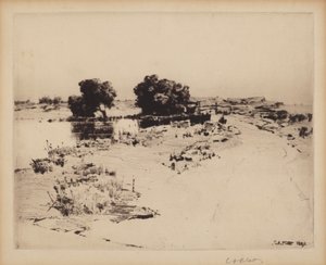 Cape Ann Wilgen