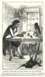 Wilson overweldigd door de angst voor zijn gevangene door Charles Altamont Doyle