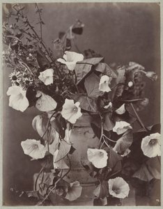Bloemstudie met Keulse pot door Charles Aubry (manner of)