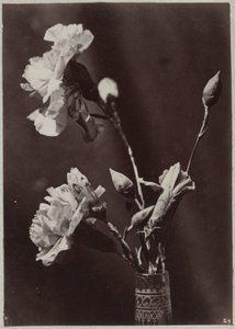 Bloemstudie met glazen vaas door Charles Aubry (manner of)
