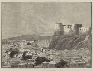Herat, de hoofdstad van West-Afghanistan