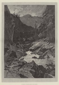 Wilde Darrie