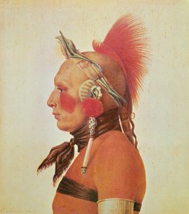 Een Osage krijger, c.1804 door Charles Balthazar Julien Févret de Saint Mémin