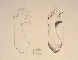 Gebogen Arm van een Vrouw, plaat 22 uit Cours de Dessin Volume I, Modeles dapres la bosse, c.1868 door Charles Bargue