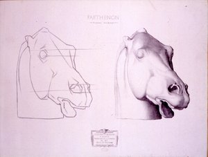 Paardenhoofd van het westelijke fronton van het Parthenon, plaat 47 uit Cours de Dessin, ca. 1898 door Charles Bargue