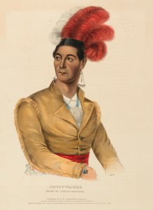 AHYOUWAIGHS. CHIEF OF THE SIX NATIONS, uit History of the Indian Tribes of North America. door Charles Bird King