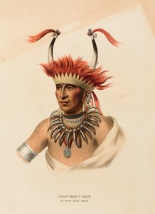 CHON-MON-I-CASE. AN OTTO HALF CHIEF, uit History of the Indian Tribes of North America door Charles Bird King