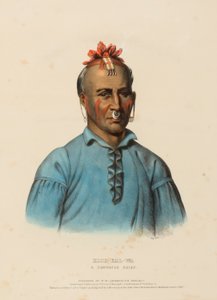KISH-KAL-WA. A SHAWANOE CHIEF, uit History of the Indian Tribes of North America. door Charles Bird King