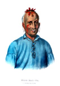 Kishkalwa, een Shawnee-hoofdman