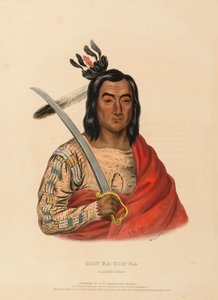 MON-KA-USH-KA. A SIOUX CHIEF, uit History of the Indian Tribes of North America. door Charles Bird King