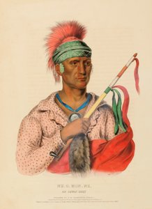 NE-O-MON-NE, AN IOWAY CHIEF, uit Geschiedenis van de Indianenstammen van Noord-Amerika door Charles Bird King