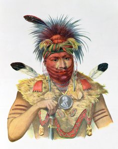 Ne-Sou-A-Quoit, een Fox Chief, illustratie uit 