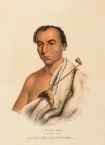 ON-GE-WAE. A CHIPPEWA CHIEF, uit History of the Indian Tribes of North America. door Charles Bird King