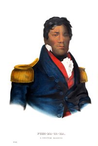 Pushmataha, een Choctaw krijger