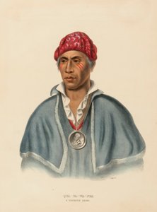 QUA-TA-WA-PLA. A SHAWANOE CHIEF uit History of the Indian Tribes of North America door Charles Bird King