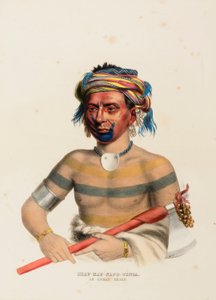 SHAU-HAU-NAPO-TINTA. EEN IOWAY OPPERHOOFD. door Charles Bird King
