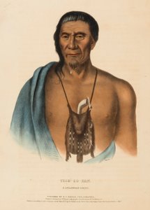 TISH-CO-HAN. A DELAWARE CHIEF, uit History of the Indian Tribes of North America. door Charles Bird King